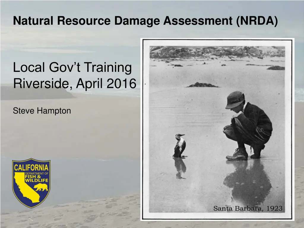 natural resource damage assessment nrda