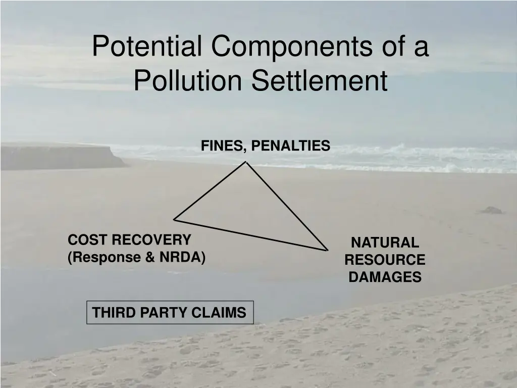 potential components of a pollution settlement