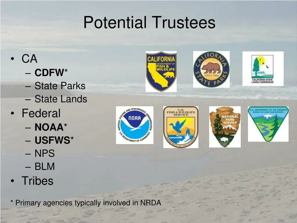 potential trustees