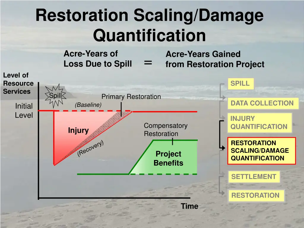 restoration scaling damage quantification