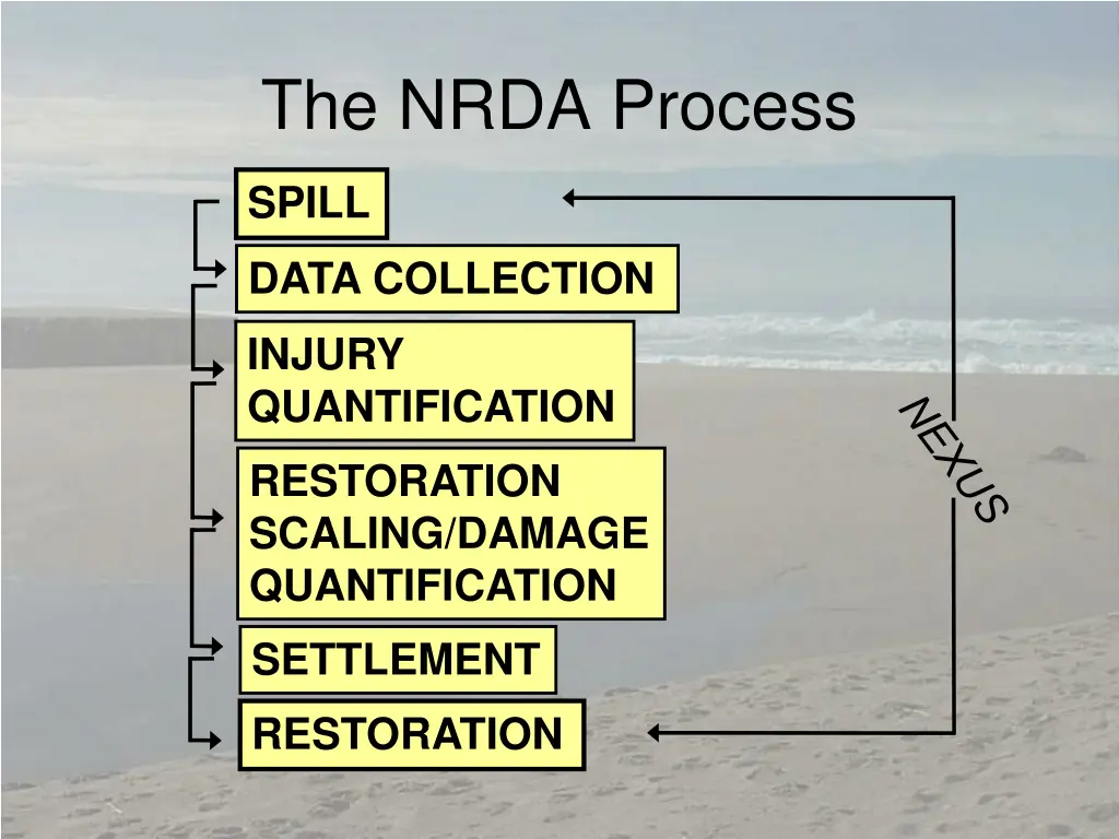 the nrda process