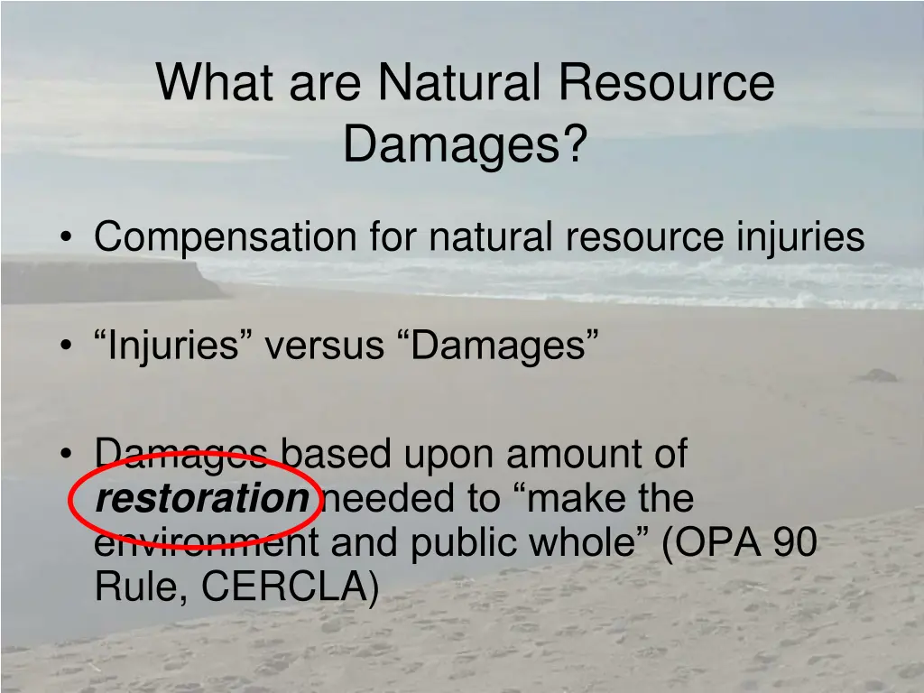 what are natural resource damages