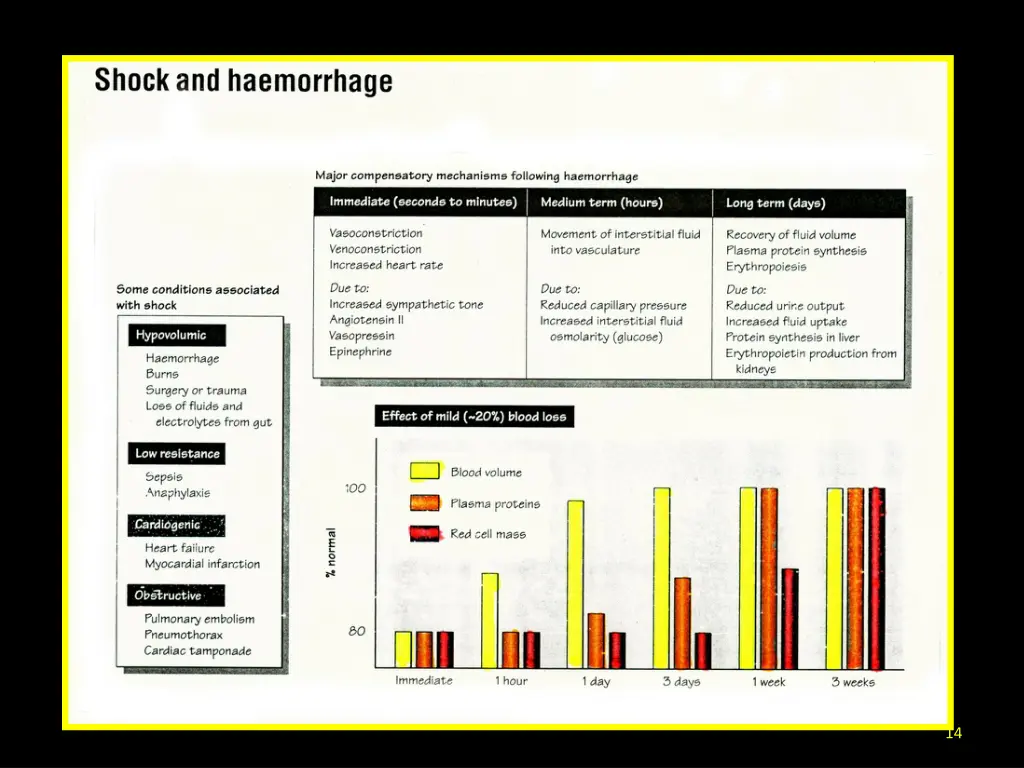 slide14