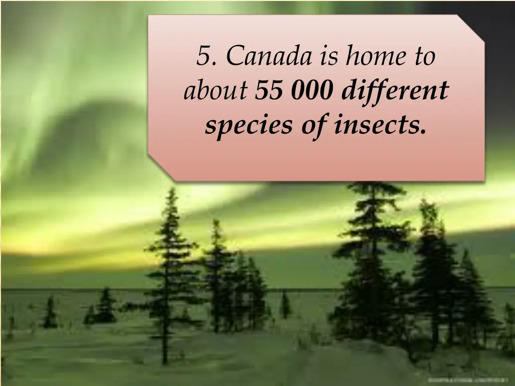 5 canada is home to about 55 000 different