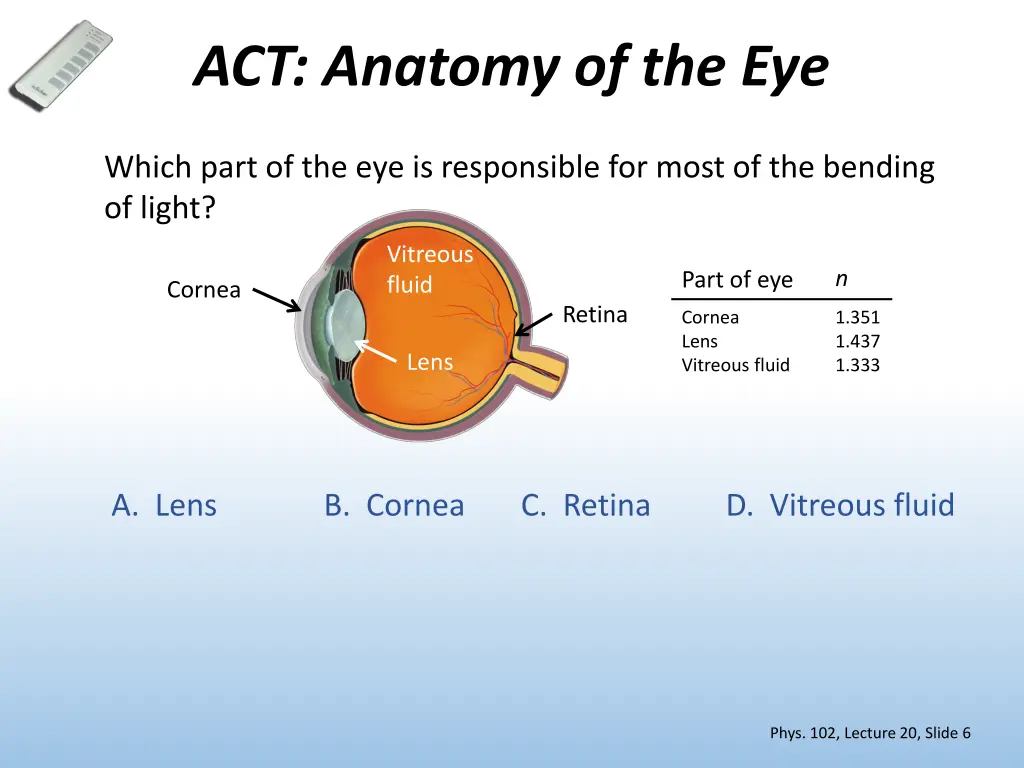 act anatomy of the eye