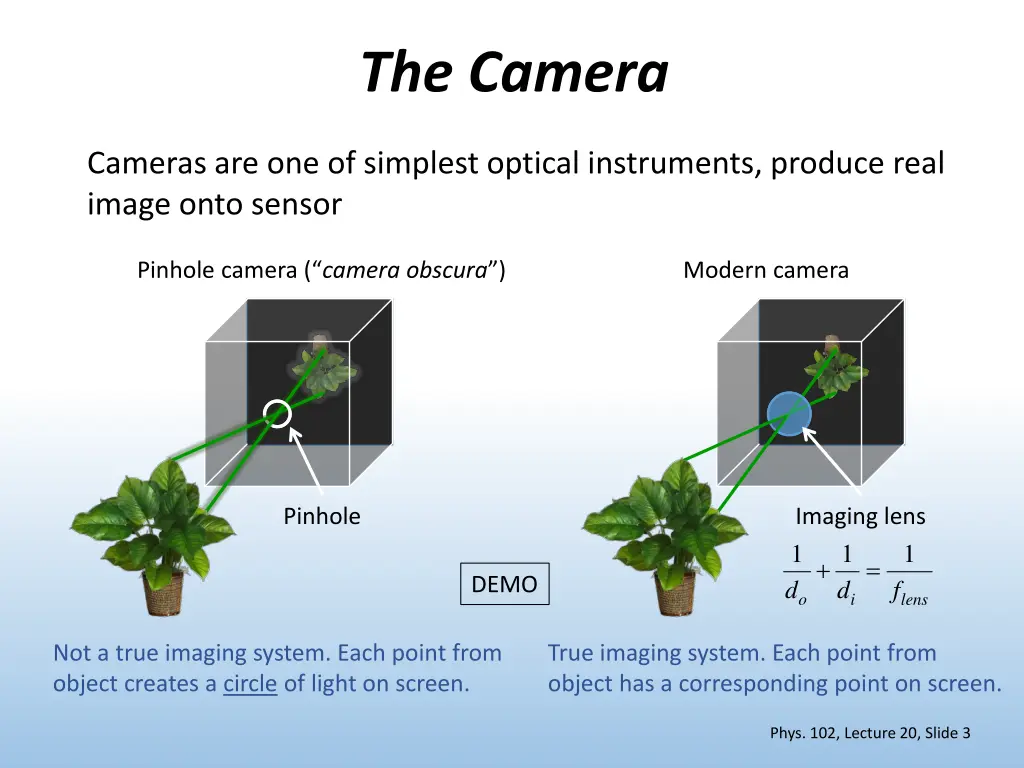 the camera