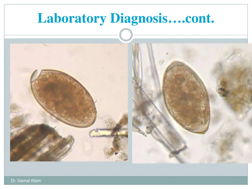 laboratory diagnosis cont