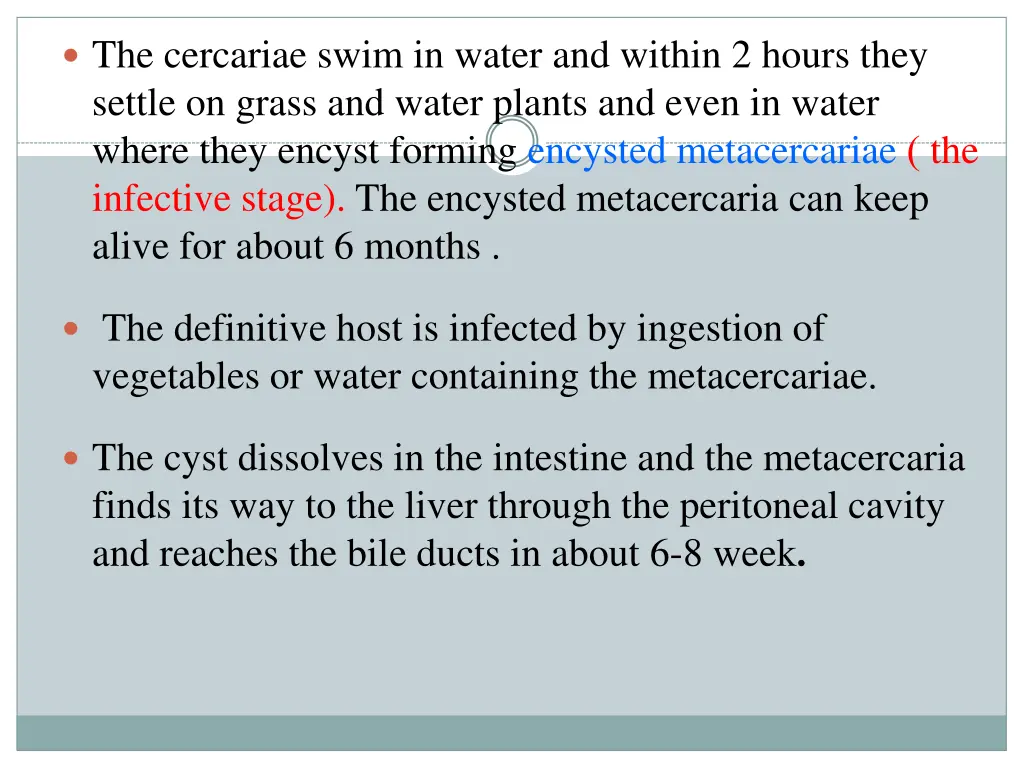the cercariae swim in water and within 2 hours