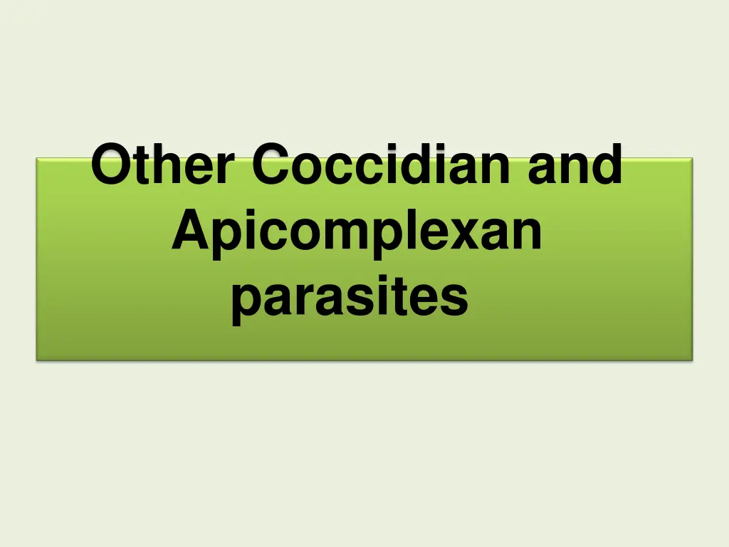 other coccidian and apicomplexan parasites