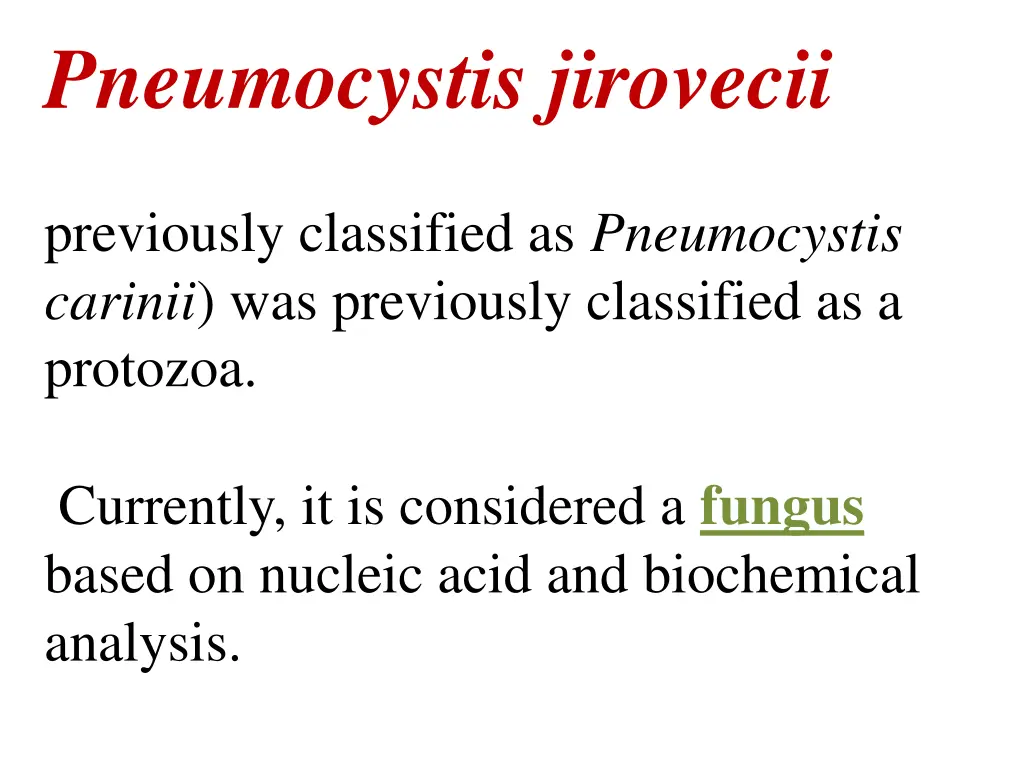 pneumocystis jirovecii