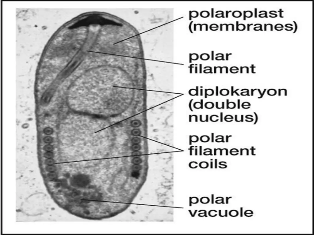 slide16