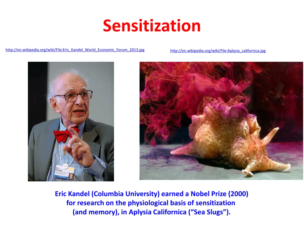 sensitization