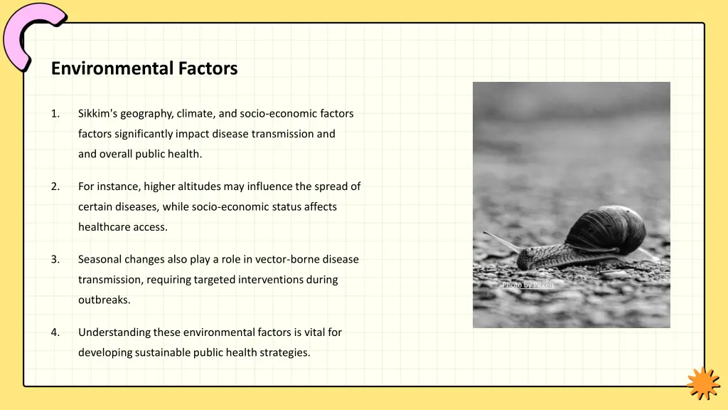 environmental factors