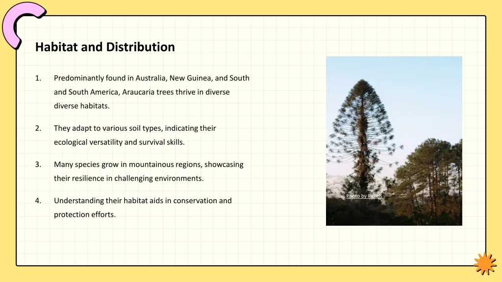 habitat and distribution