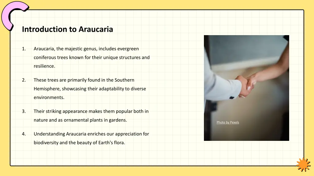 introduction to araucaria
