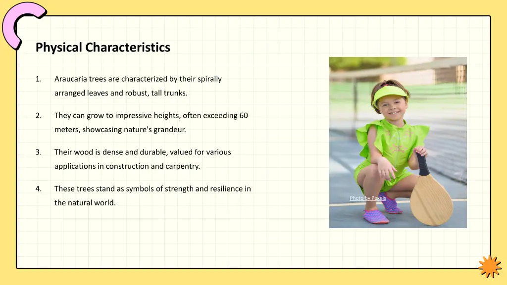 physical characteristics