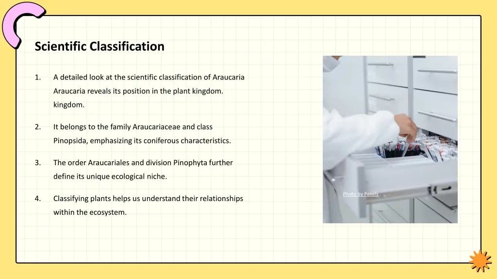 scientific classification