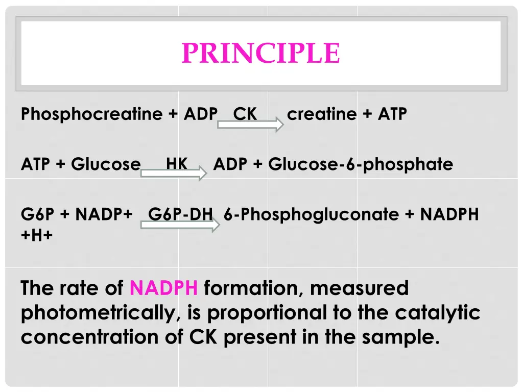principle