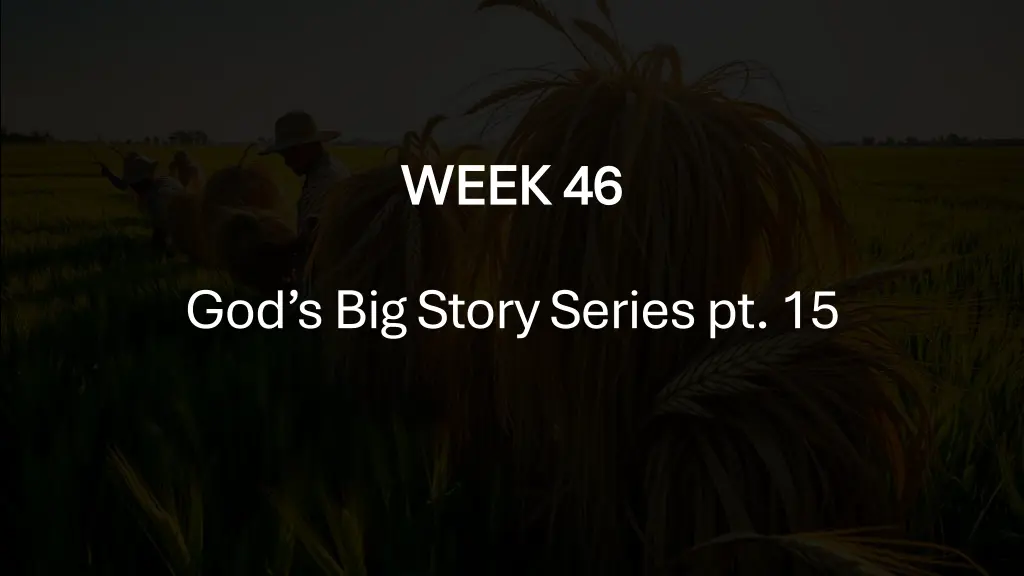 week 46 week 46