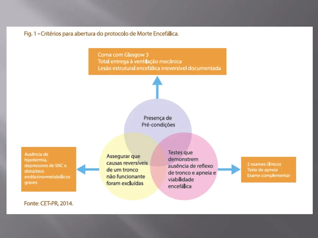 slide15