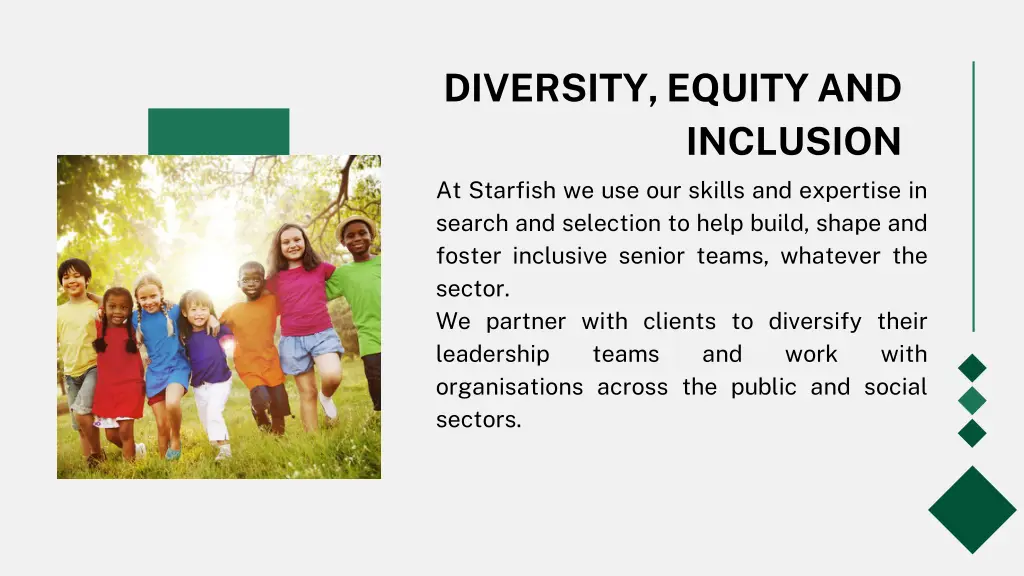 diversity equity and