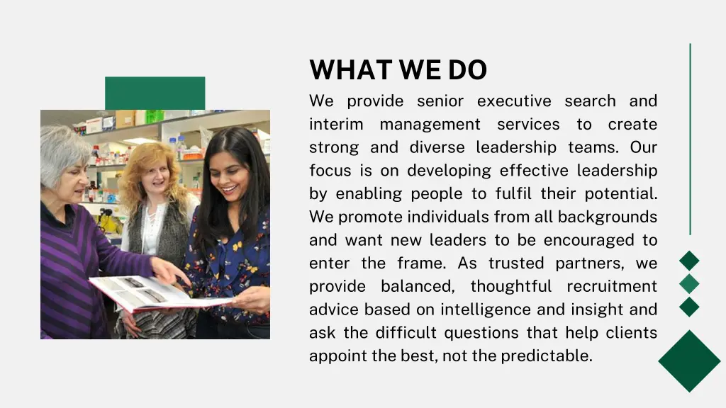 what we do we provide senior executive search