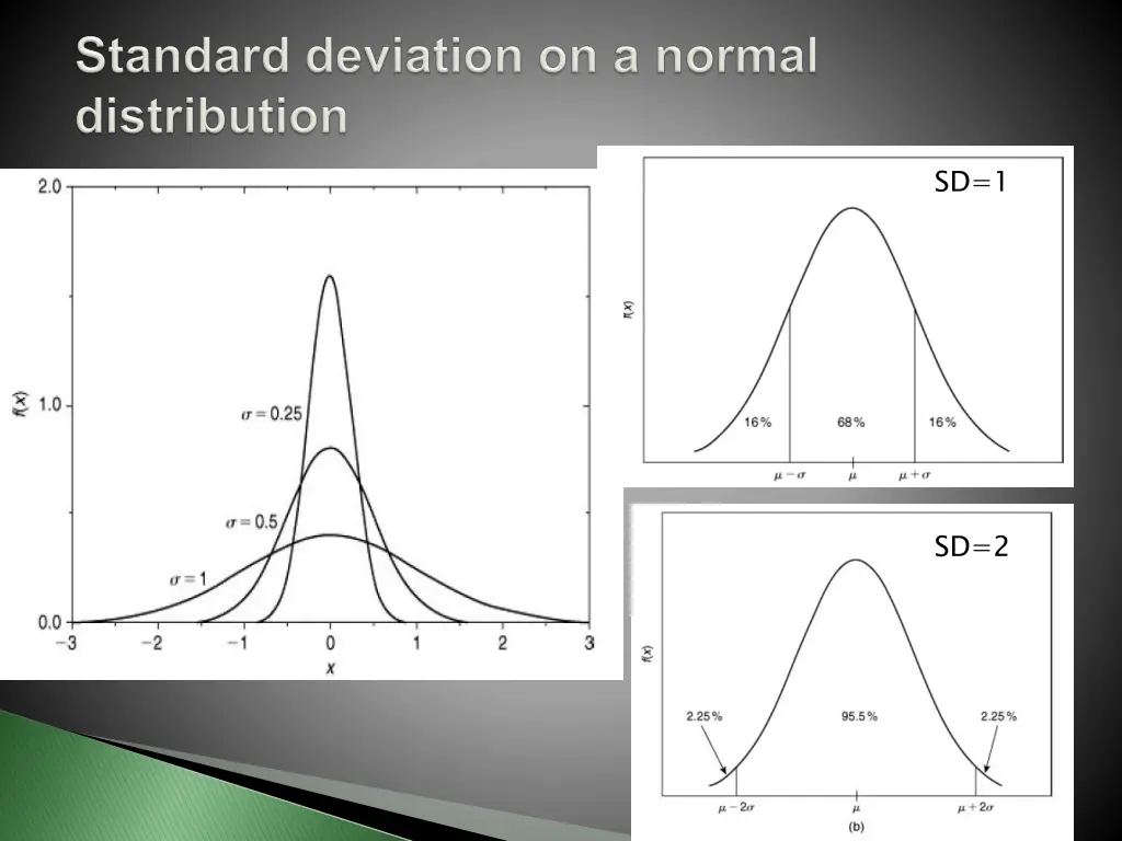 slide19