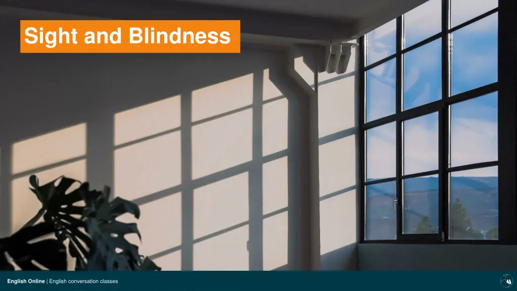 sight and blindness
