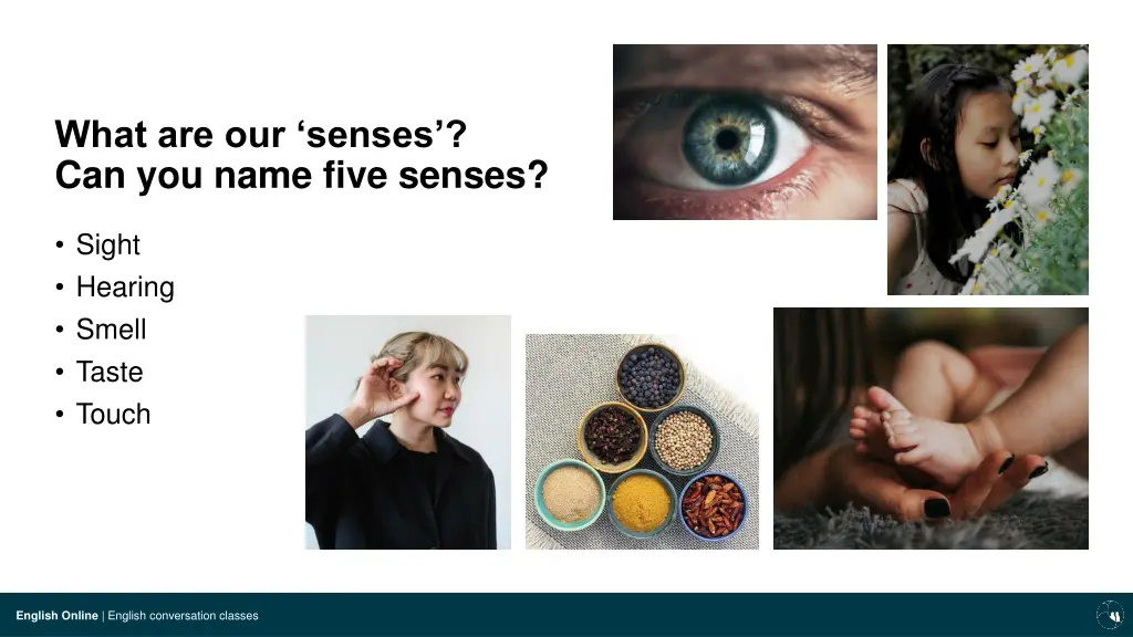 what are our senses can you name five senses