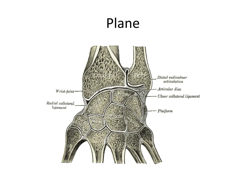 plane