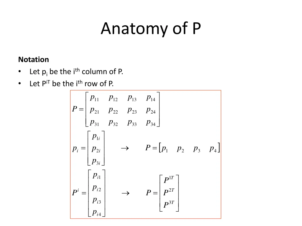 anatomy of p 4