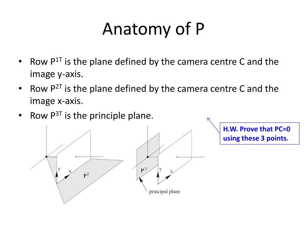 anatomy of p 9