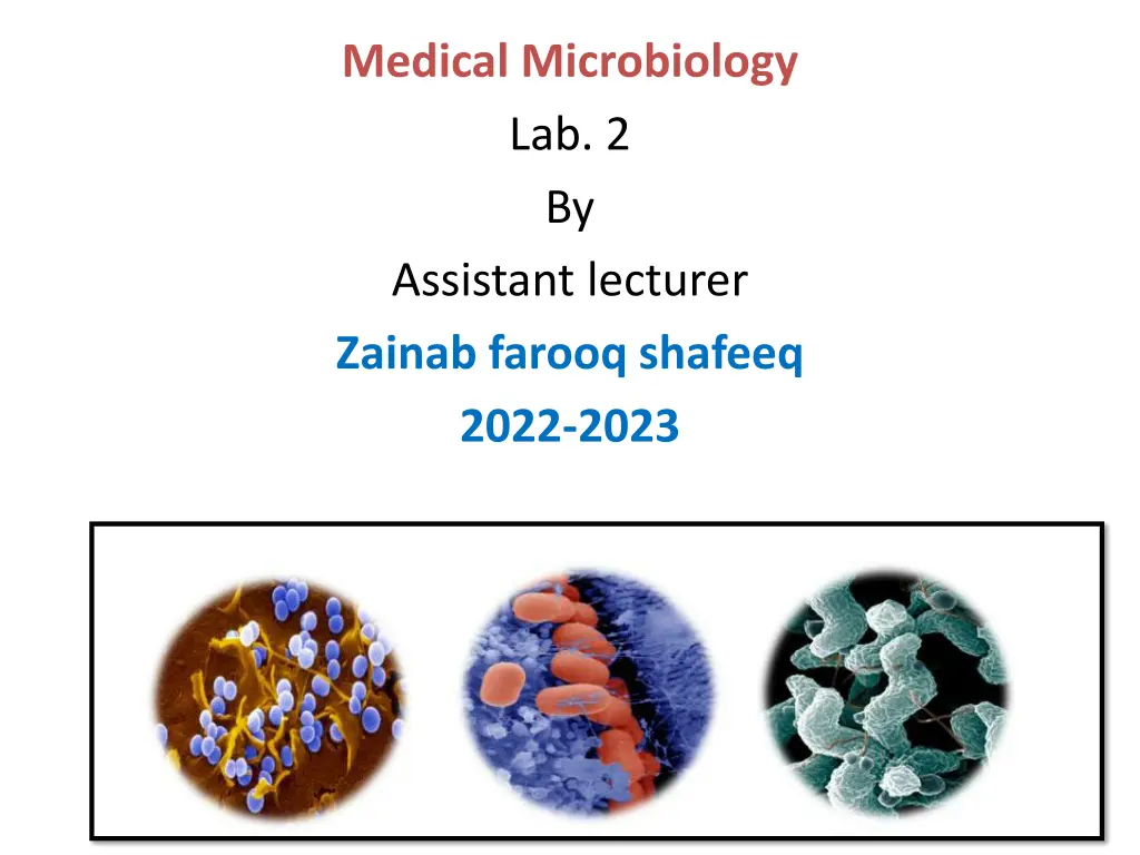 medical microbiology lab 2 by assistant lecturer
