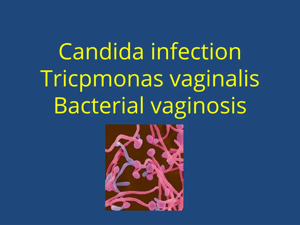 candida infection tricpmonas vaginalis bacterial