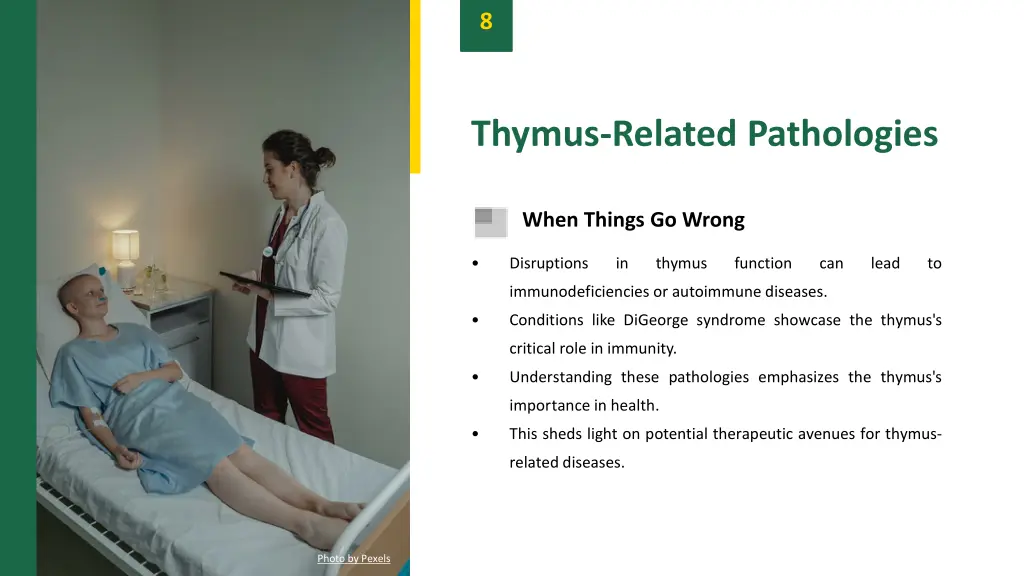 slide10