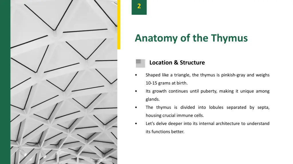 slide4