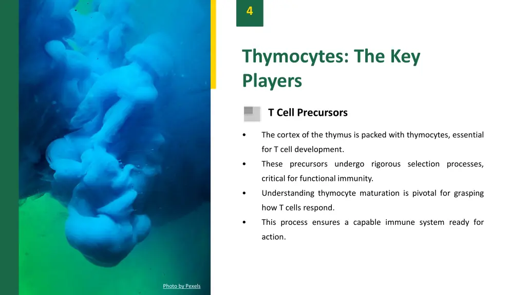 slide6