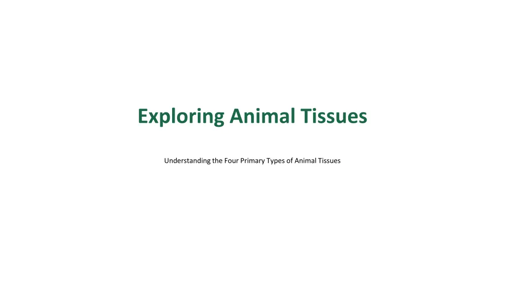 exploring animal tissues
