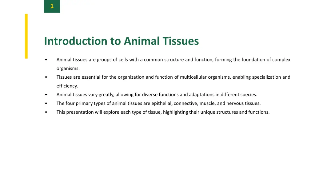 slide3