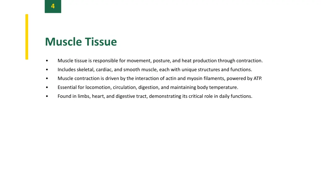 slide6