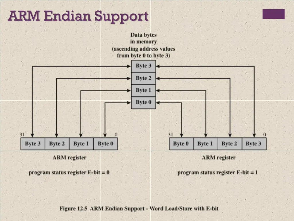 arm endian support