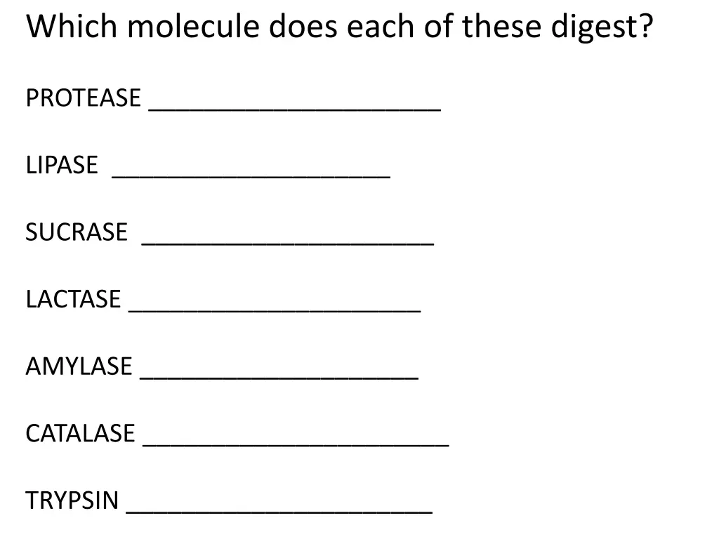 which molecule does each of these digest 3