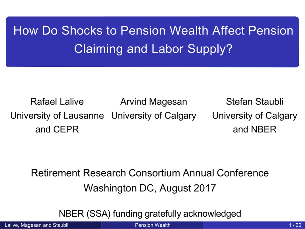how do shocks to pension wealth affect pension