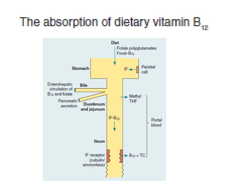 slide6