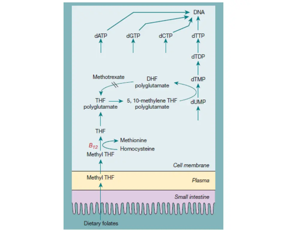 slide9