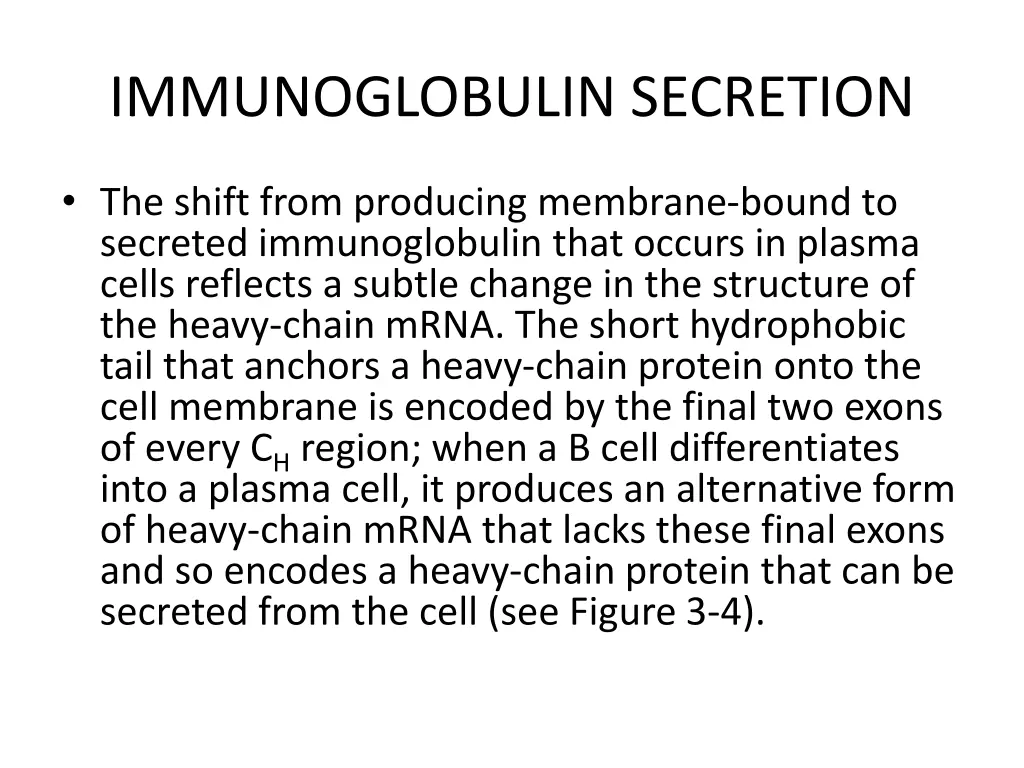 immunoglobulin secretion