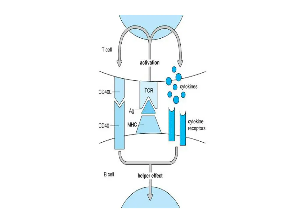 slide10
