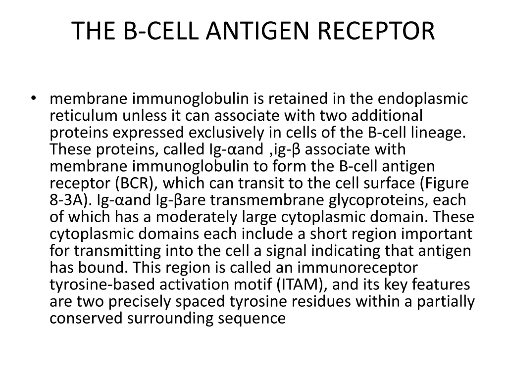 the b cell antigen receptor