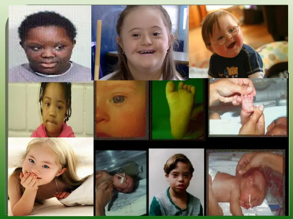 slide9
