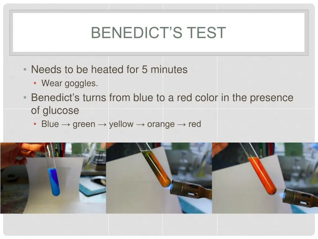benedict s test